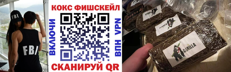 КОКАИН FishScale  где можно купить наркотик  Нижние Серги 