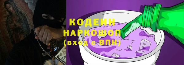 шишки Алапаевск